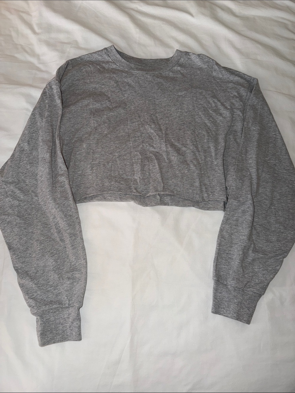 TNA Heather Gray Cropped Long-Sleeve Top